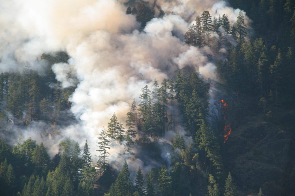 BC Wildfires: How GNB Is Participating in the Fight