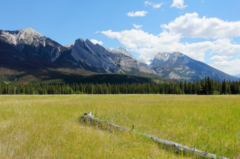 Reclamation in BC | Great Northern Bridgeworks