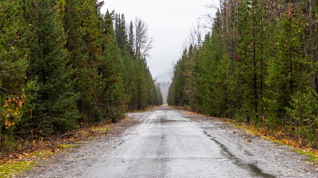 Read more on Access Road Construction in British Columbia