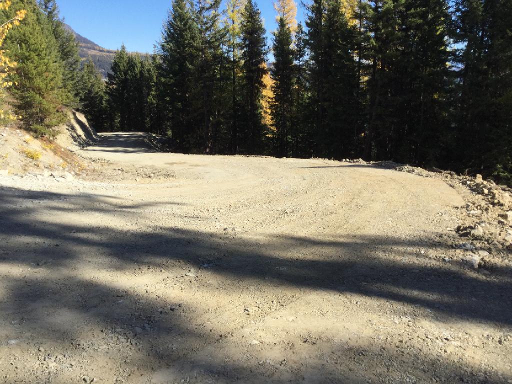 Weyerhaeuser Road